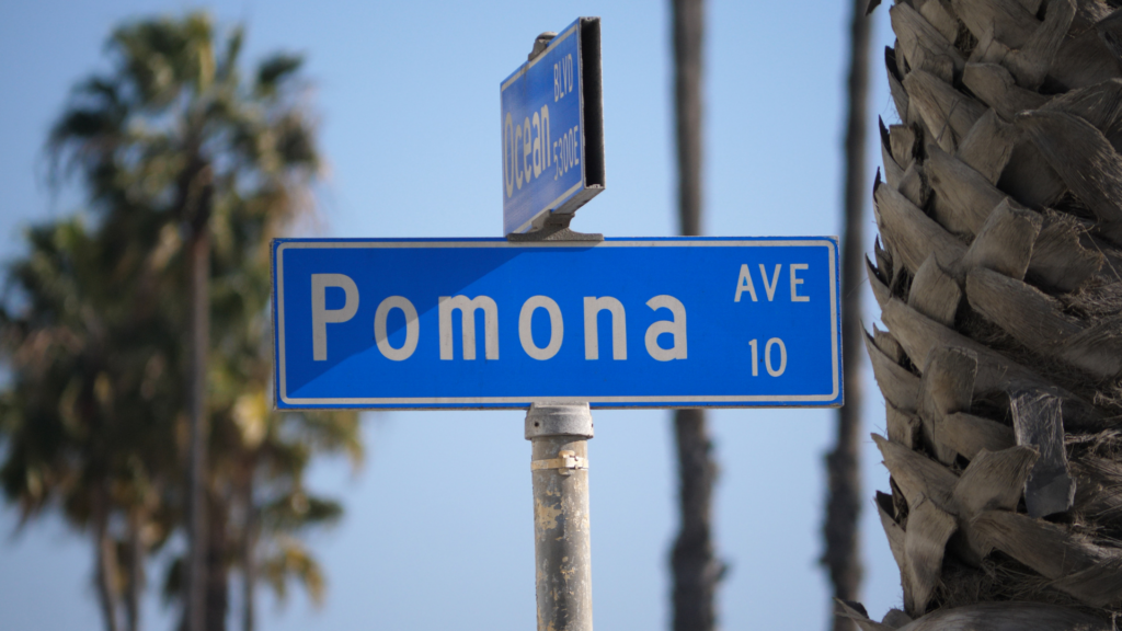 Driver Arrested for Fatal Pomona Car Crash and High-Speed Chase