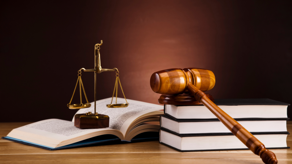 What a Hollywood Dog Bite Lawyer Can Do After a Serious Dog Attack